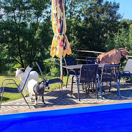 Javorek Appartement