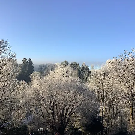 Javorek Apartmán *