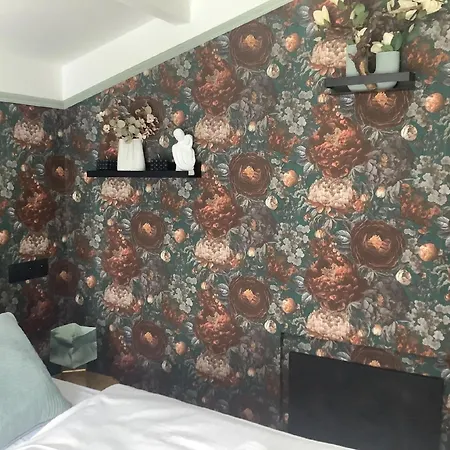 Javorek Appartement Sněžné