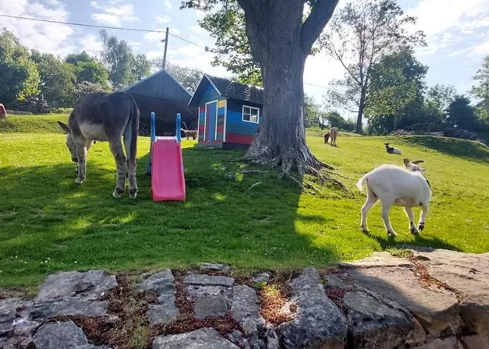 Javorek Appartamento Sněžné