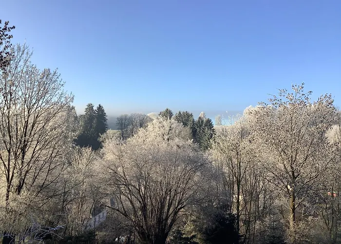 Javorek Appartamento *