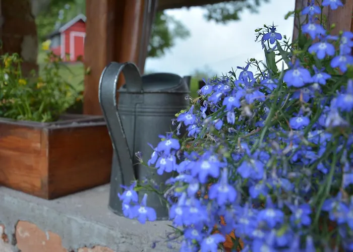 Javorek Appartamento Sněžné